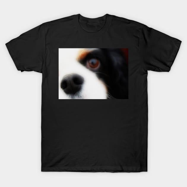 Nosey!! T-Shirt by rosedew